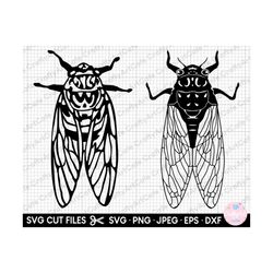 cicada svg cicada png cicada clipart cicada vactor cicada eps dxf jpeg jpg