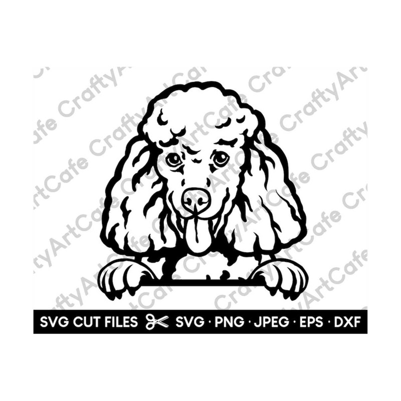 MR-259202319339-poodle-peeking-svg-poodle-peeking-png-eps-dxf-jpeg-jpg-image-1.jpg