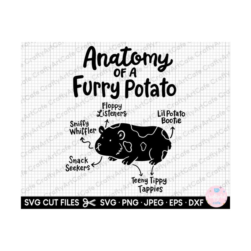 MR-259202320200-guinea-pig-svg-guinea-pig-png-guinea-pig-svg-cut-file-image-1.jpg