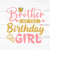 MR-2592023204410-brother-birthday-svgbirthday-princessbirthday-girl-image-1.jpg