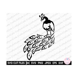 peacock mandala svg peacock silhouette peacock clipart