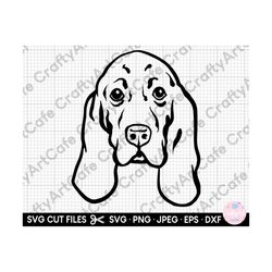 basset hound svg basset hound png basset hound illustration basset hound clipart head