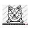 MR-259202322329-akita-peeking-svg-akita-png-akita-svg-cute-akita-svg-for-image-1.jpg