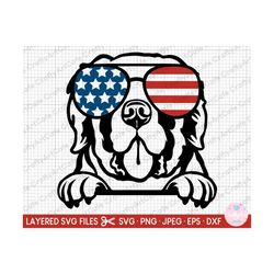 saint bernard peeking svg png cricut cut file