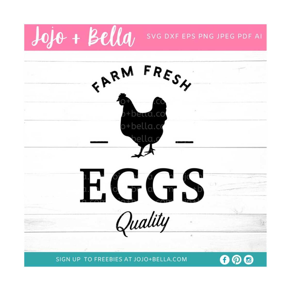 MR-259202322255-farm-fresh-eggs-svg-farm-fresh-eggs-farmhouse-svg-farm-image-1.jpg