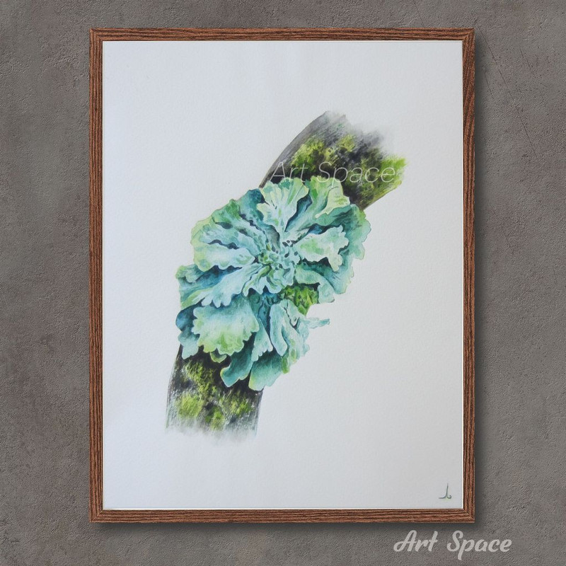 Lichen - moss - wild plant - plant - botanical illustration - photorealism - botany - green painting - watercolor painting - 2.jpg
