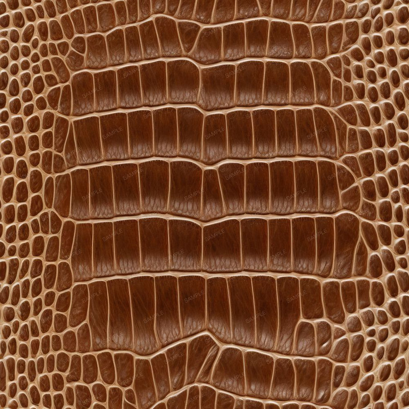 Crocodile Leather.jpg