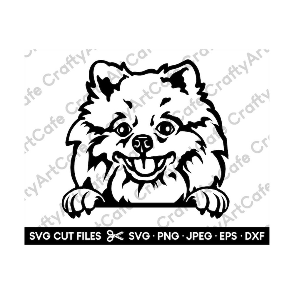 MR-269202325251-pomerian-peeking-svg-image-1.jpg