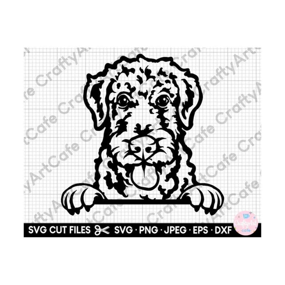 MR-269202333853-airdale-terrier-peeking-svg-files-for-cricut-png-vector-image-1.jpg