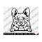 MR-269202334146-pembroke-welsh-corgi-svg-peeking-png-cut-file-cricut-corgi-image-1.jpg
