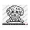 MR-26920233492-bichon-frise-peeking-svg-for-cricut-bichon-frise-svg-png-eps-image-1.jpg