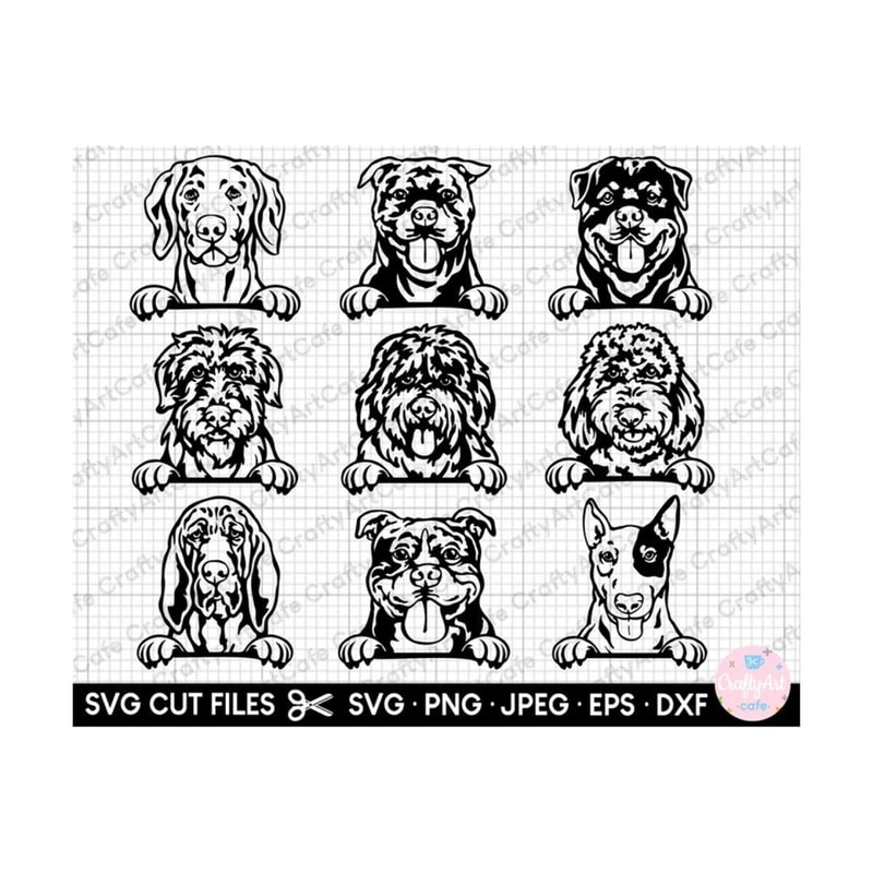 MR-26920234259-peeking-dogs-svg-rottweiler-american-bully-bloodhound-bobtail-image-1.jpg
