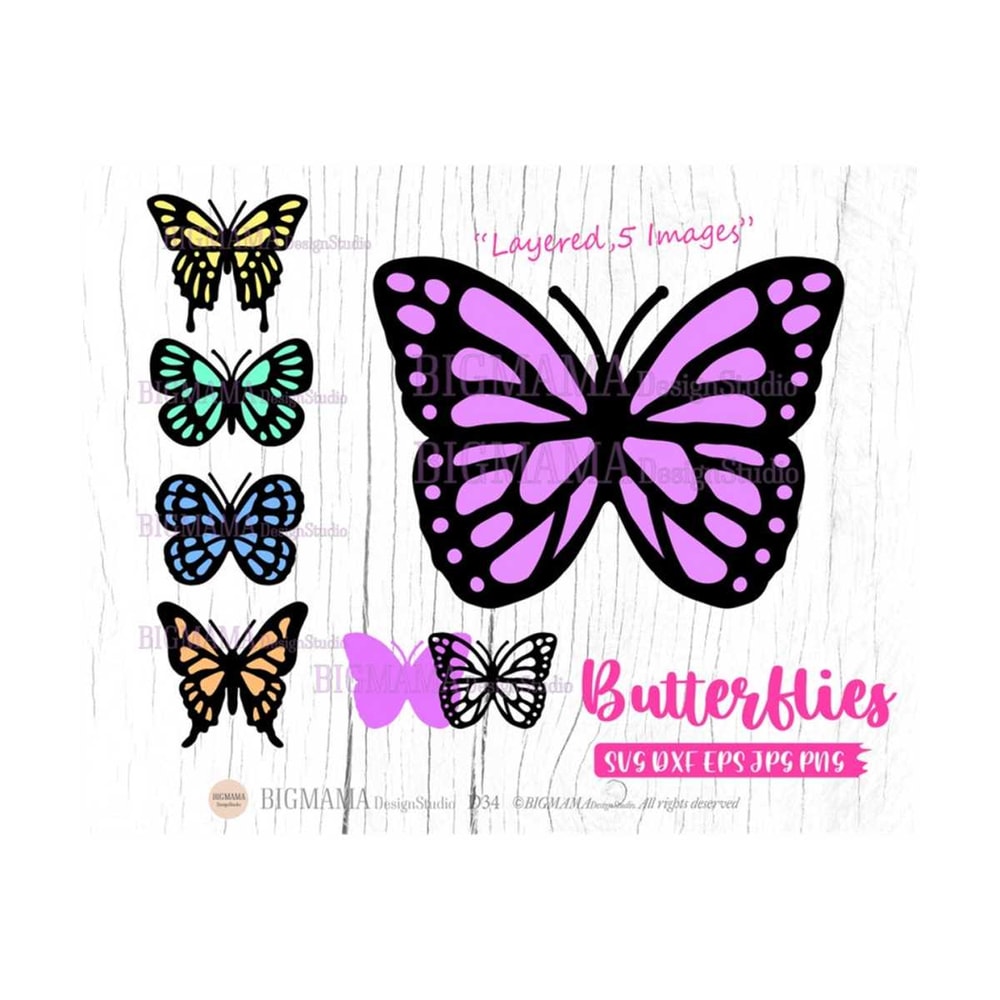 MR-269202375829-butterfly-svgbutterfliesinsectlayeredeasybundlecut-image-1.jpg