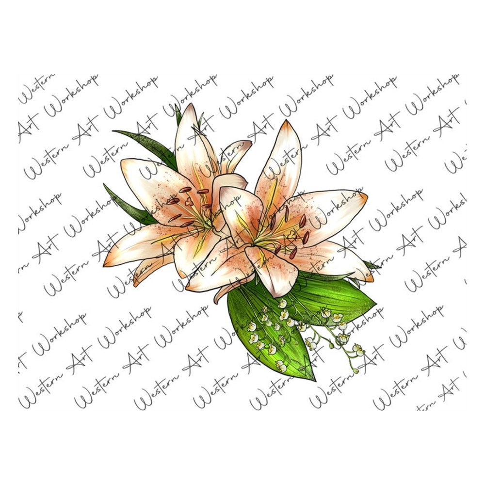 MR-26920238937-white-lily-sublimation-png-lily-watercolor-illustration-image-1.jpg