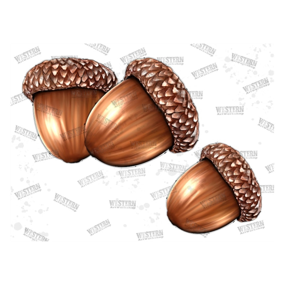 MR-269202381321-acorns-png-sublimation-png-thanksgiving-png-fall-png-acorn-image-1.jpg