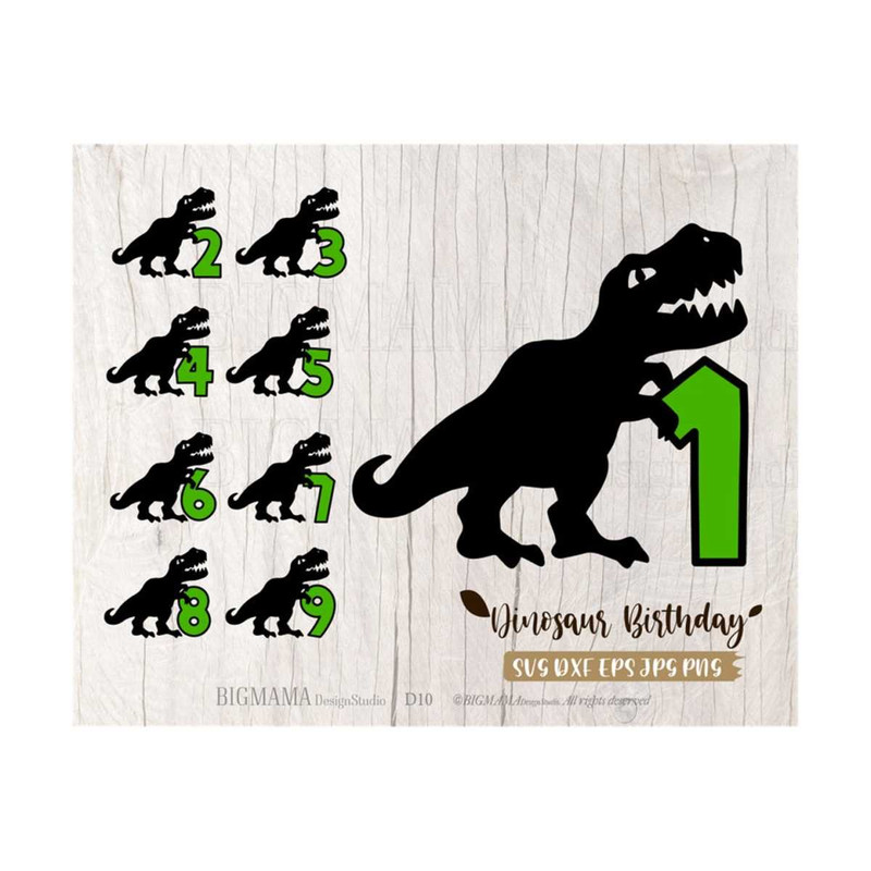 MR-269202384828-dinosaur-birthday-svgdinopartyt-rexdianosaur-with-image-1.jpg