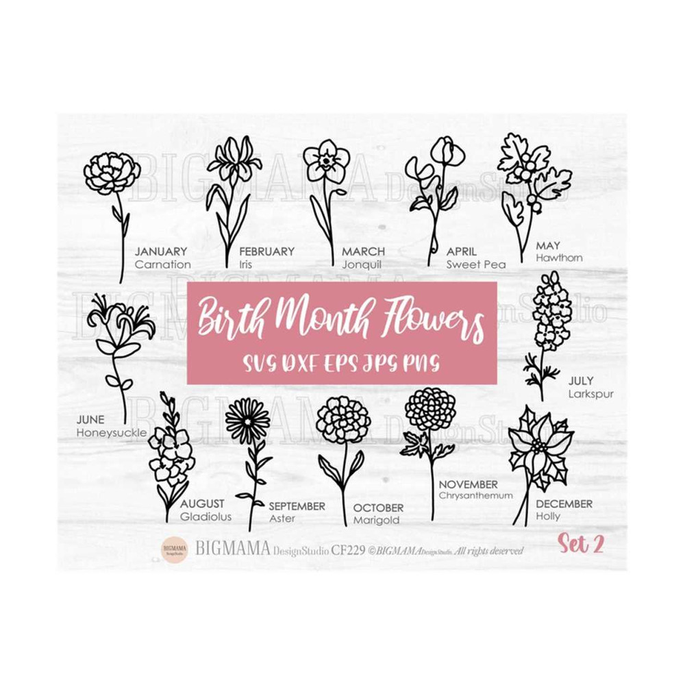 MR-2692023949-birth-month-flowers-svgwildflowerbirthday-image-1.jpg
