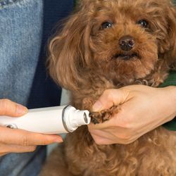 pet nail trimmer grinder electric rechargeable