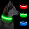Waterproof LED Dog Collar with Light 3