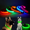 Waterproof LED Dog Collar with Light 1