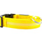 Waterproof LED Dog Collar with Light Yellow
