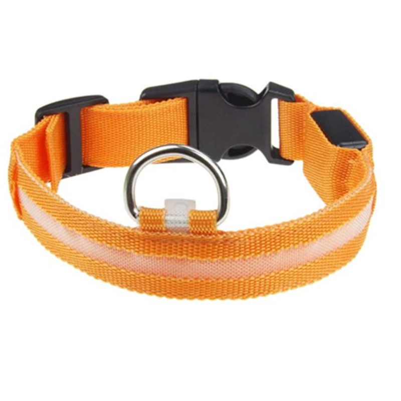 Waterproof LED Dog Collar with Light Orange