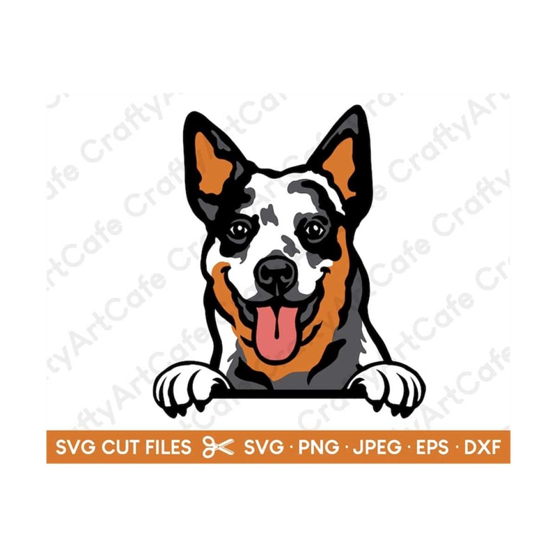 MR-2692023155613-australian-cattle-dog-peeking-smiling-svg-cut-file-for-cricut-image-1.jpg