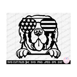 saint bernard peeking svg png silhouette vector cut file cricut