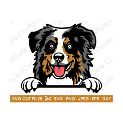 australian shepherd peeking svg for cricut australian shepherd peeking png