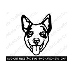 australian cattle dog svg png for cricut australian cattle dog illustration australian cattle dog head silhouette