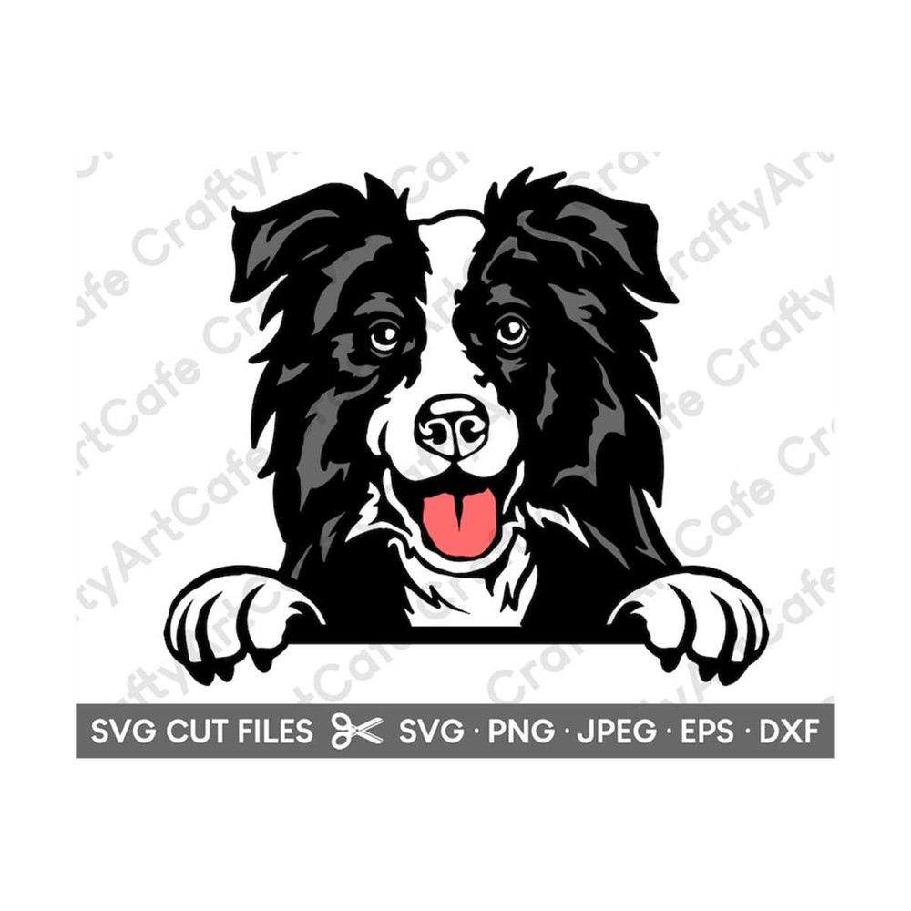 MR-2692023173841-boarder-collie-peeking-svg-for-cricut-image-1.jpg
