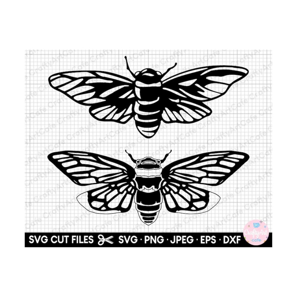 MR-2692023183158-cicada-svg-png-clipart-image-1.jpg