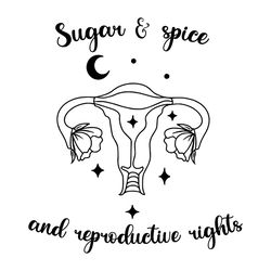 sugar spice and reproductive rights svg, pro choice svg