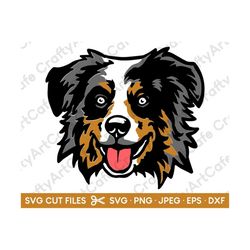 australian shepherd svg head australian shepherd cut file cricut australian shepherd png