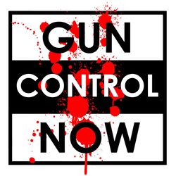 gun control now, end gun violence svg