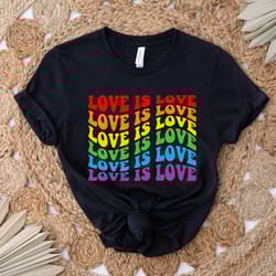 love is love t-shirt, women love is love shirt, pride shirt, mens love is love shirt, kindness shirts, lgbtq support tee