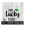 MR-2692023223615-one-lucky-dude-st-pattys-day-svg-st-patricks-day-image-1.jpg