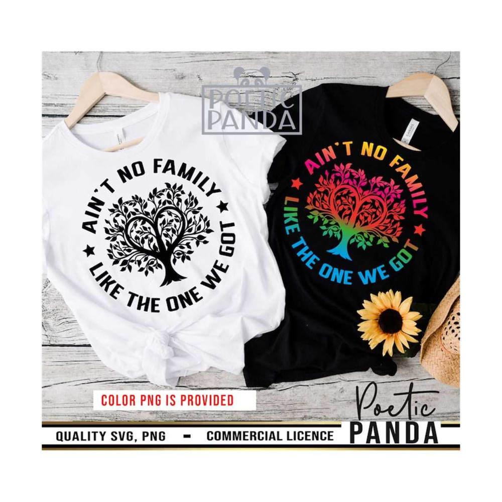 MR-279202392320-aint-no-family-like-the-one-we-got-svg-png-family-shirts-image-1.jpg