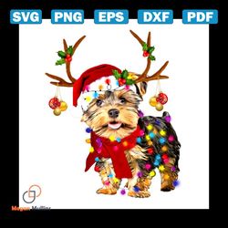 dog christmas svg, animal svg, santa hat svg, reindeer band svg, red scarf svg, christmas light svg, star svg, christmas
