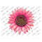 MR-2792023114042-pink-leopard-sunflower-png-sunflower-png-file-pink-leopard-image-1.jpg