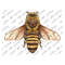 MR-279202312021-bee-png-sublimation-design-bee-png-bee-clipart-hand-drawn-image-1.jpg