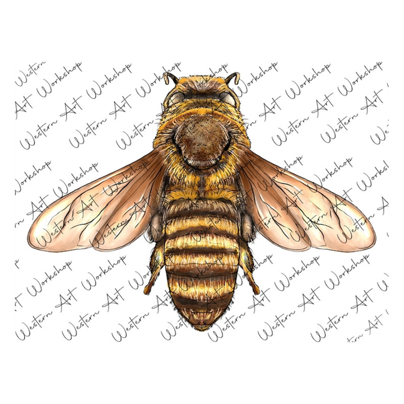 MR-279202312021-bee-png-sublimation-design-bee-png-bee-clipart-hand-drawn-image-1.jpg