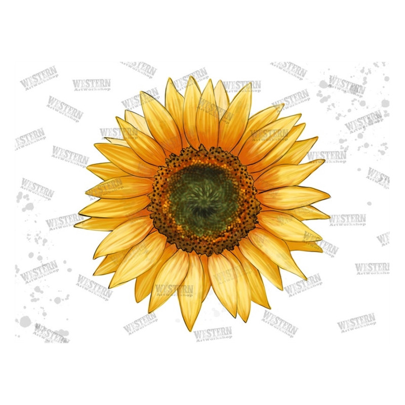 MR-2792023133831-sunflower-sublimation-png-watercolor-sunflower-hand-drawing-image-1.jpg