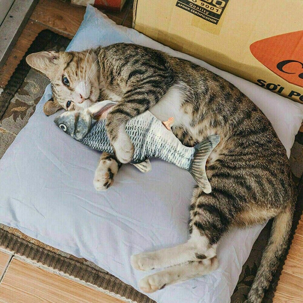 Dancing Wiggle Catnip Toy for Cats 1