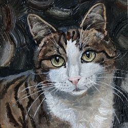 Cat tiger pet portrait original oil painting hand painted modern impasto painting wall art 6x9 inches