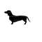 MR-2792023161039-dachshund-svg-dog-svg-vector-cut-file-for-cricut-image-1.jpg