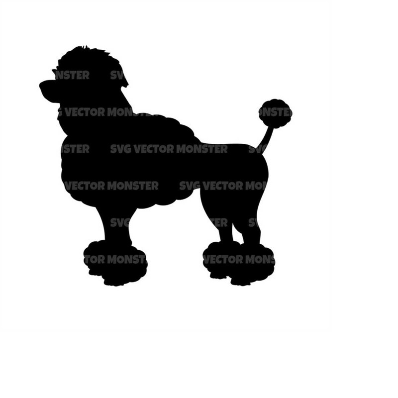MR-2792023162338-poodle-svg-dog-breed-svg-vector-cut-file-for-cricut-image-1.jpg