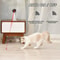 Automatic Cat Laser Toy for Indoor Exercise 3