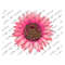 MR-2792023162914-pink-leopard-sunflower-png-sunflower-png-file-pink-leopard-image-1.jpg