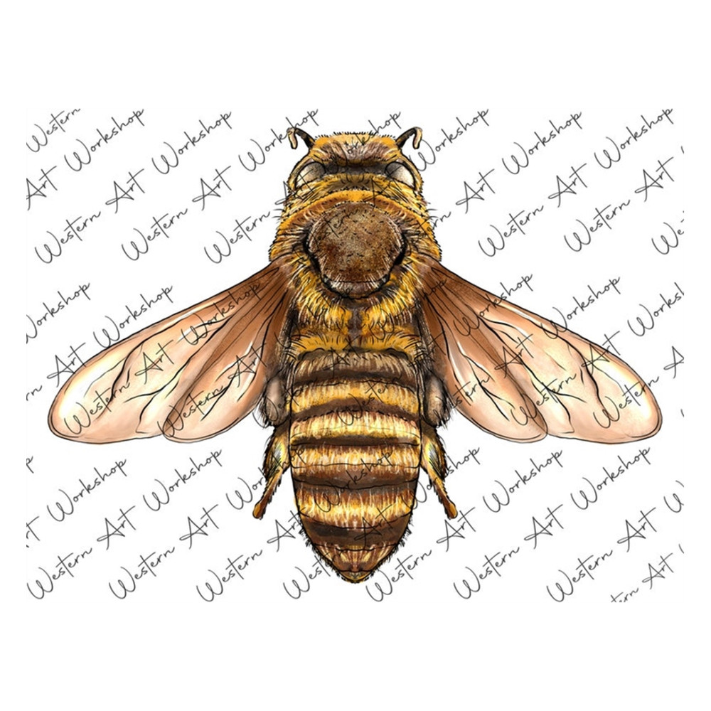 MR-2792023163933-bee-png-sublimation-design-bee-png-bee-clipart-hand-drawn-image-1.jpg